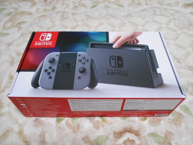 Nintendo Switch ニンテンドースイッチ グレー/グレー 美品