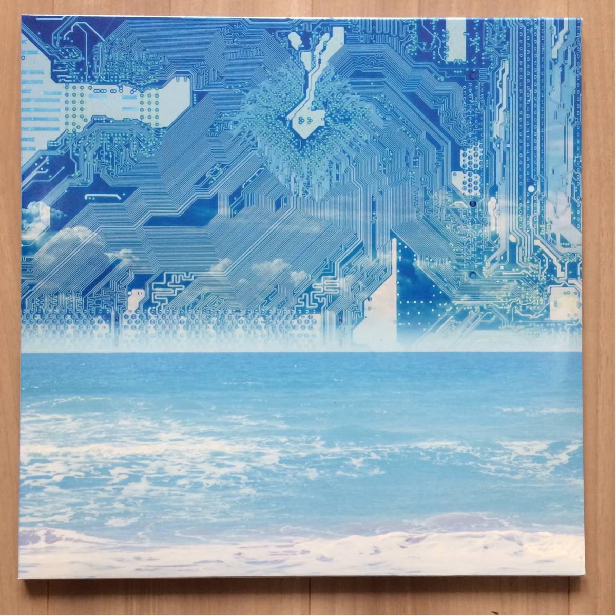 MELLOW Mellow MADNESS 公式通販 & Vinyl 超美品！DEV LARGE監修