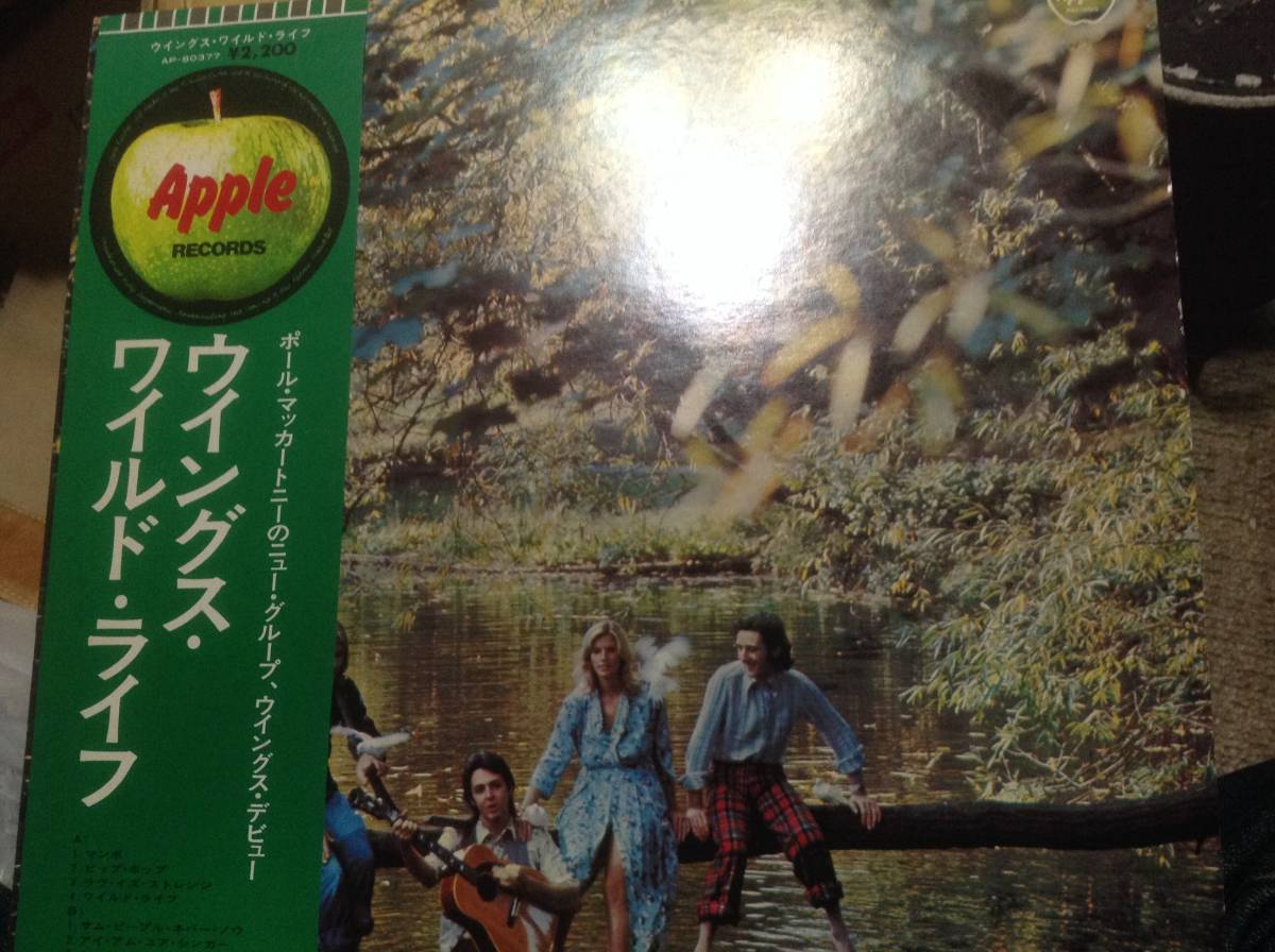 ポールマッカートニー ワイルドライフ レア、アップル帯 盤は美品