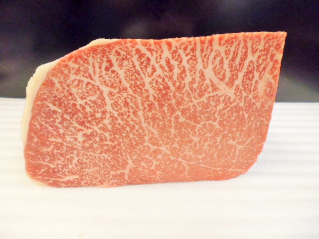 t512963308.1