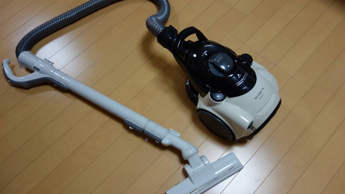 t539715265.3