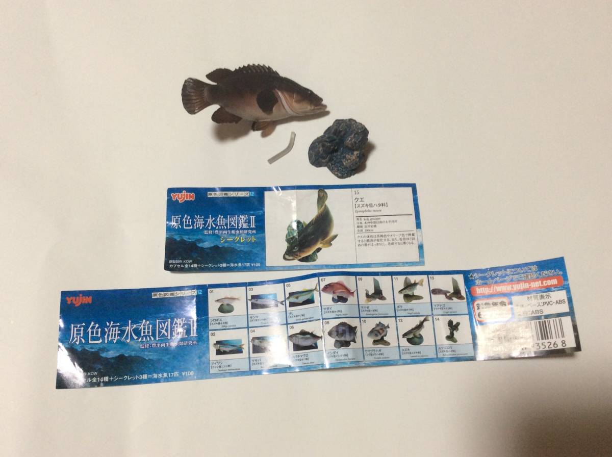 特別値下げ YUJIN原色海水魚図鑑II シークレット クエ 1種