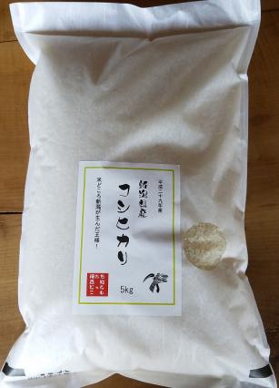 送料無料★平成29年新潟県産コシヒカリ10kg(5kg×2袋)