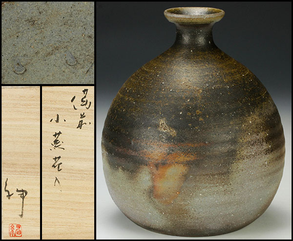 h252993118.1