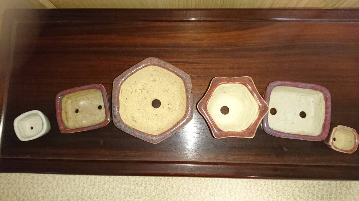 571.秋直 盆栽鉢秋直鉢 窯変辰砂釉鼓釘丸 盆栽