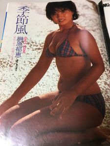 榊原郁恵のYahoo!オークション(旧ヤフオク!)の相場・価格を見る｜Yahoo