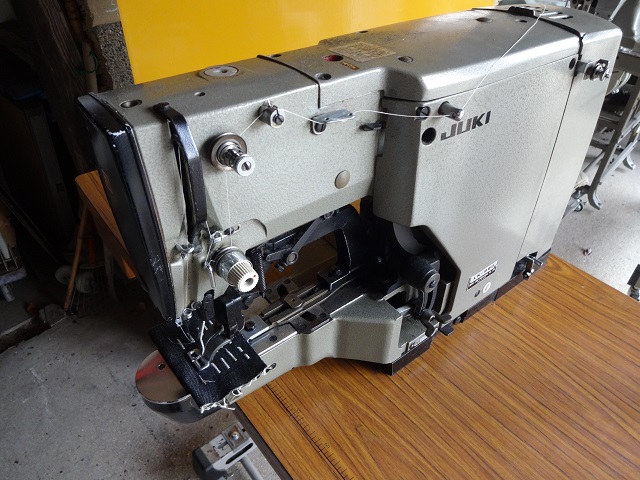 k249449561.1