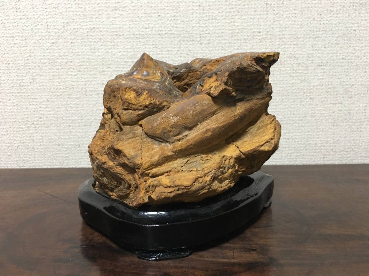黄玉 黄ジャスパー 水石 鑑賞石 盆石 飾り石 置石 珪化木 壺石 黄玉 黄ジャスパー 水石 鑑賞石 盆石 飾り石 置石 珪化木 壺石