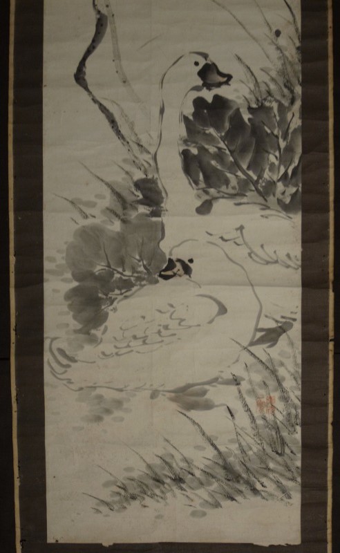 渡辺小華 小華逸人 筆 『水墨花鳥図』 掛軸 〔紙本 肉筆〕 まくり状態