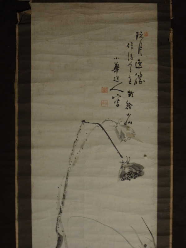 渡辺小華 小華逸人 筆 『水墨花鳥図』 掛軸 〔紙本 肉筆〕 まくり状態