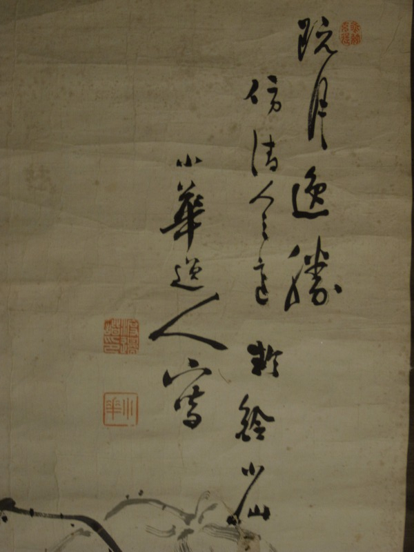 渡辺小華 小華逸人 筆 『水墨花鳥図』 掛軸 〔紙本 肉筆〕 まくり状態