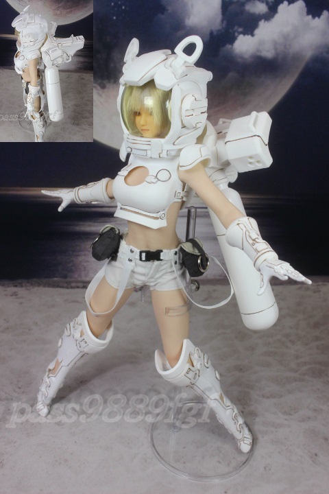 1/6サイズ★女性アクション フィギュア カスタム★オビツ植毛ヘッド ファイセン Phicen / TBLeague シームレス素体 クールガール