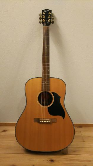 ナッシュビル N-30D ハードケースあり 現状品 ナッシュビル NASHVILLE