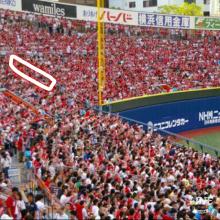ポール横　一般定価～4/24(火)　横浜ベイスターズ対広島カープ　通路側2連番　三塁側　内野指定席C