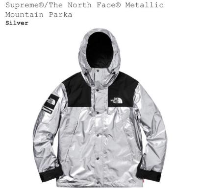 Lサイズ 国内正規 Supreme The North Face Metallic Mountain Parka シュプリーム ノースフェイス Supreme