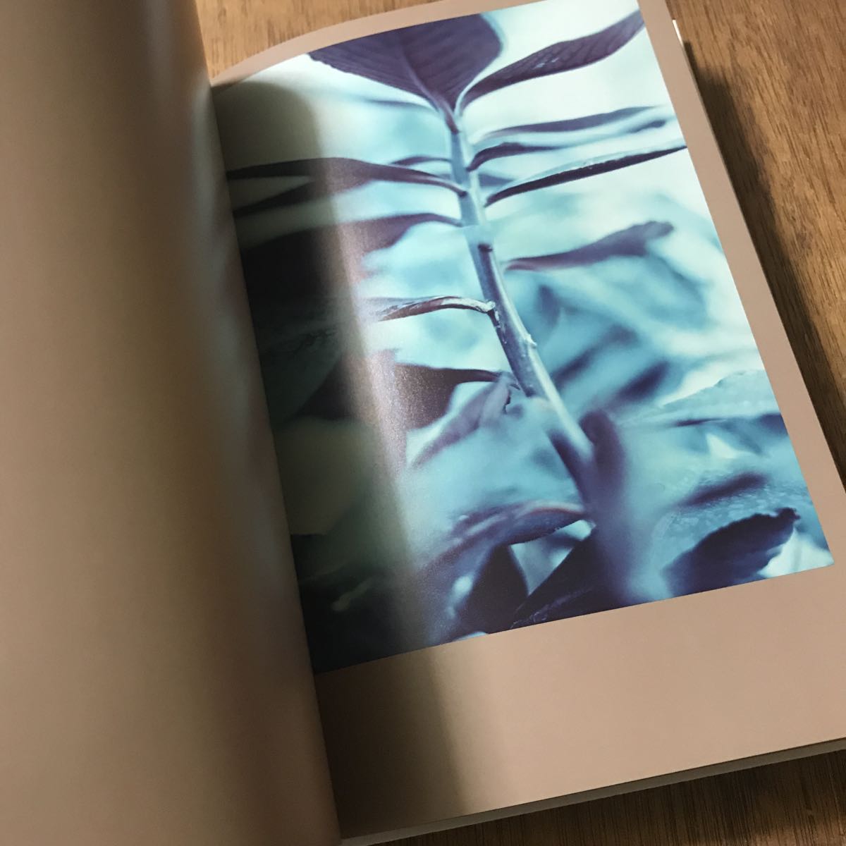 Darren Almond The Civil Dawns ☆写真集 ダレン・アーモンド 限定500