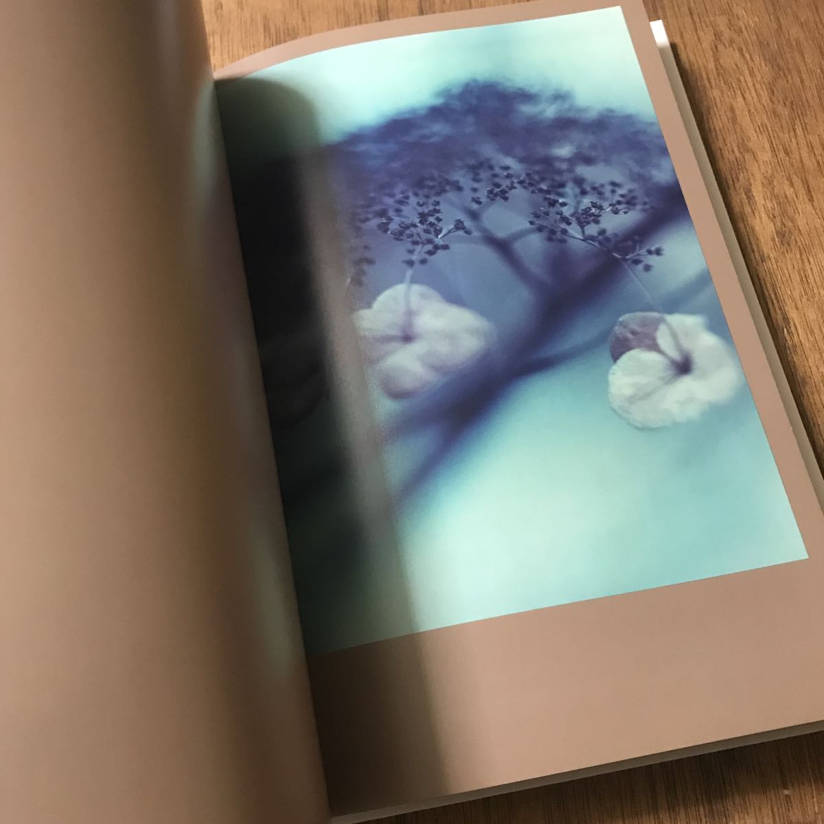 Darren Almond The Civil Dawns ☆写真集 ダレン・アーモンド 限定500