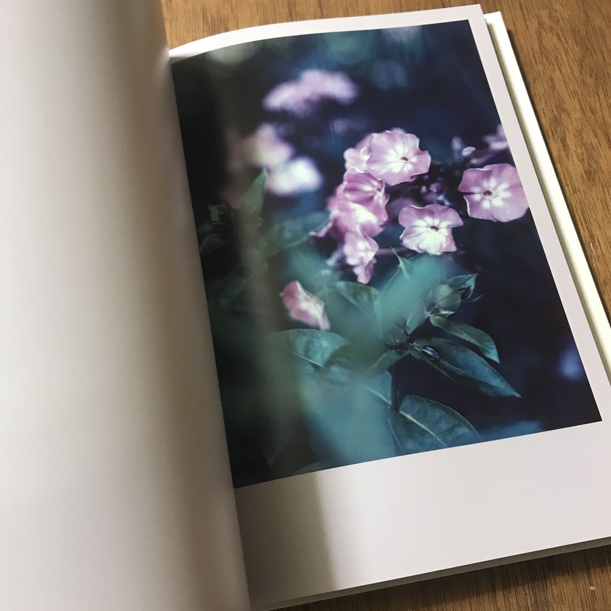 Darren Almond The Civil Dawns ☆写真集 ダレン・アーモンド 限定500