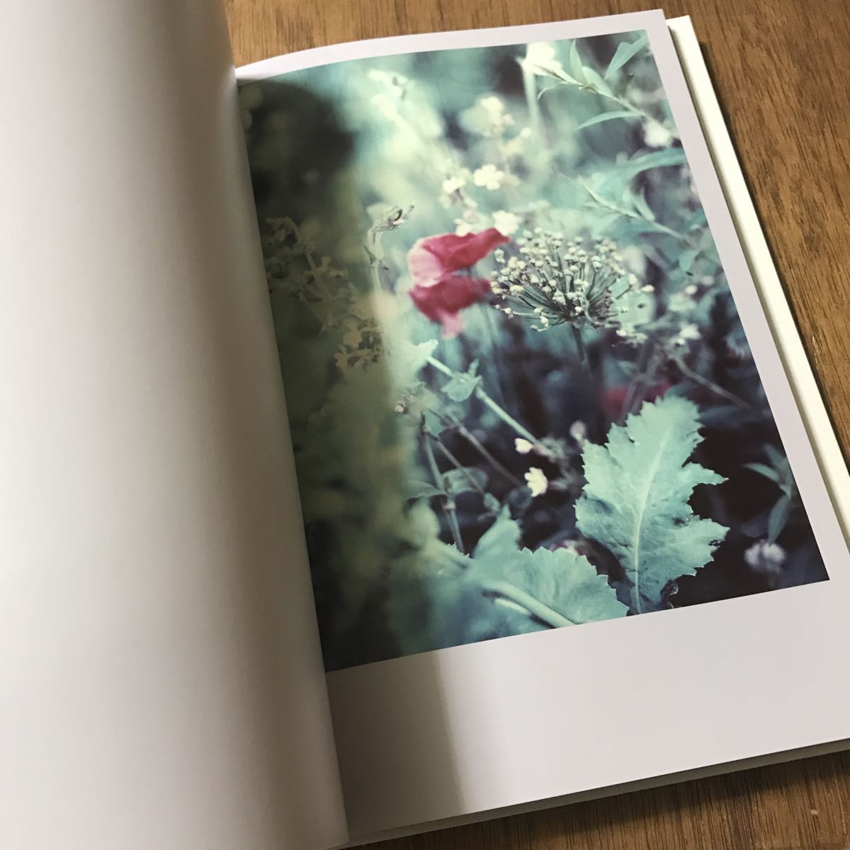 The Civil Dawns by Darren Almond 限定本 The Civil Dawns – torch press