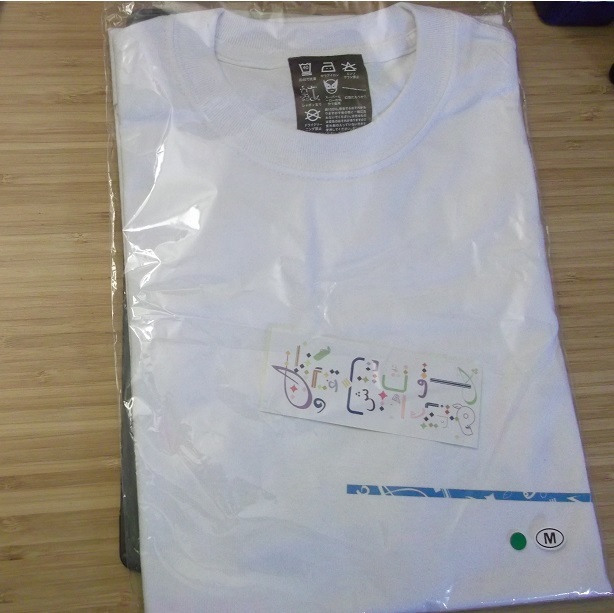 ☆小沢健二 ツアーTシャツ 春空虹トリコロール「テプラ風に」Tee半袖