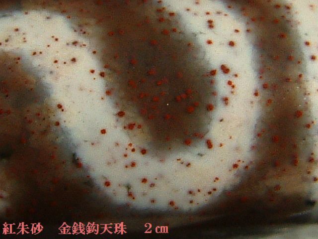 261...《天珠八仙》...小型紅朱砂...金銭鈎天珠..約2㌢