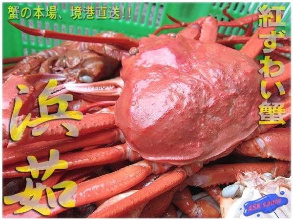名人の浜茹 蟹 3lサイズ5尾セット ランク 紅蟹500 600 5尾 ズワイガニ 売買されたオークション情報 Yahooの商品情報をアーカイブ公開 オークファン Aucfan Com 名人の浜茹 蟹 3lサイズ5尾セット ランク 紅蟹500 600 5尾 ズワイガニ 売買されたオークション情報 Yahooの商品情報をアーカイブ公開 オークファン Aucfan Com