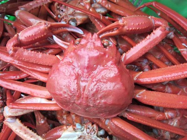 名人の浜茹 蟹 3lサイズ5尾セット ランク 紅蟹500 600 5尾 ズワイガニ 売買されたオークション情報 Yahooの商品情報をアーカイブ公開 オークファン Aucfan Com 名人の浜茹 蟹 3lサイズ5尾セット ランク 紅蟹500 600 5尾 ズワイガニ 売買されたオークション情報 Yahooの商品情報をアーカイブ公開 オークファン Aucfan Com