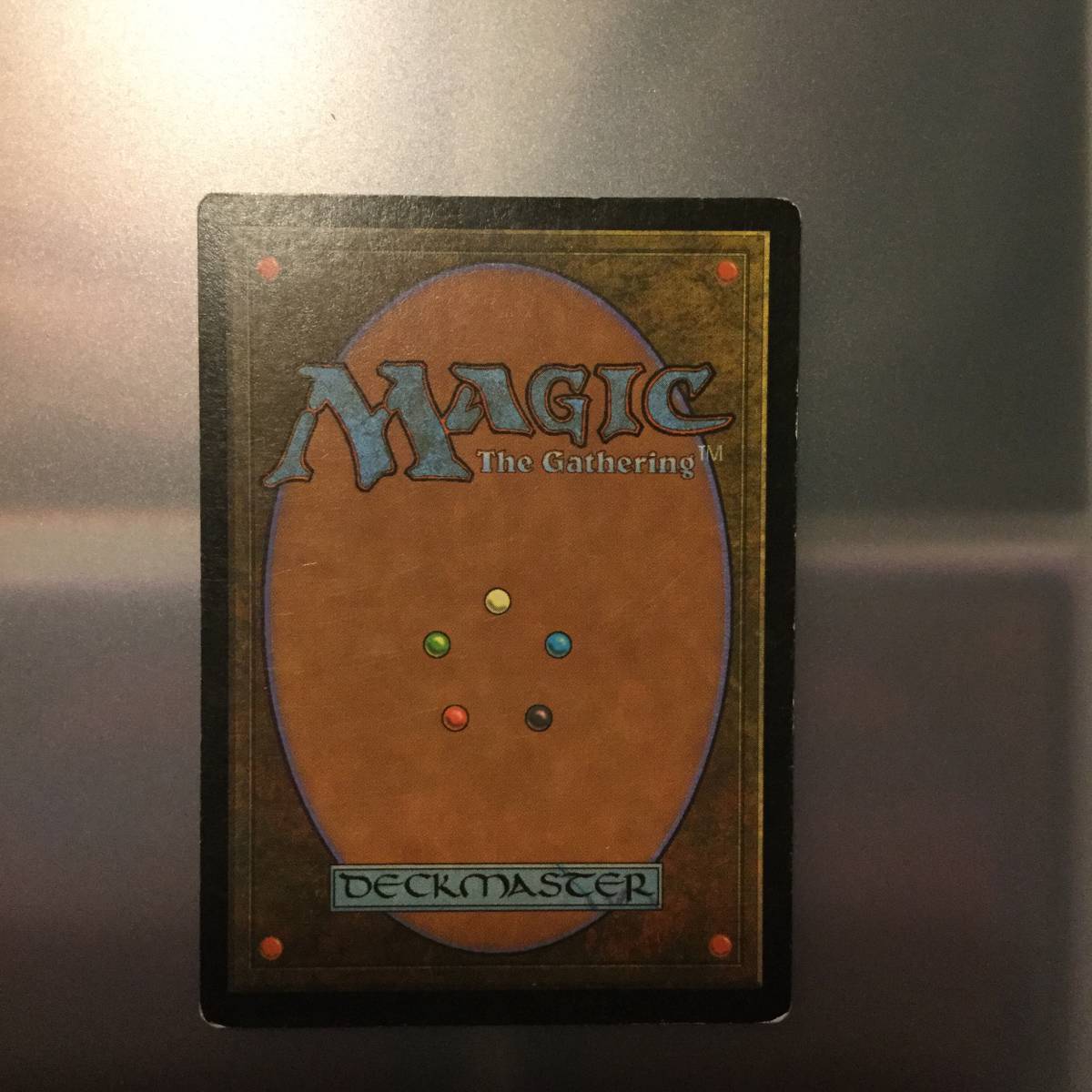 霧深い雨林 英語版 4枚 mtg 公式通販 霧深い雨林英語版4枚セット