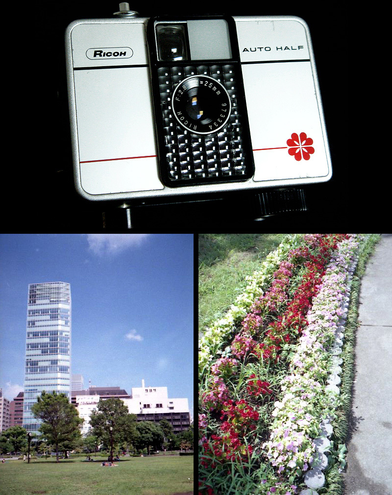 973 試写済 リコー オートハーフ E レッドフラワー ricoh autohalf e