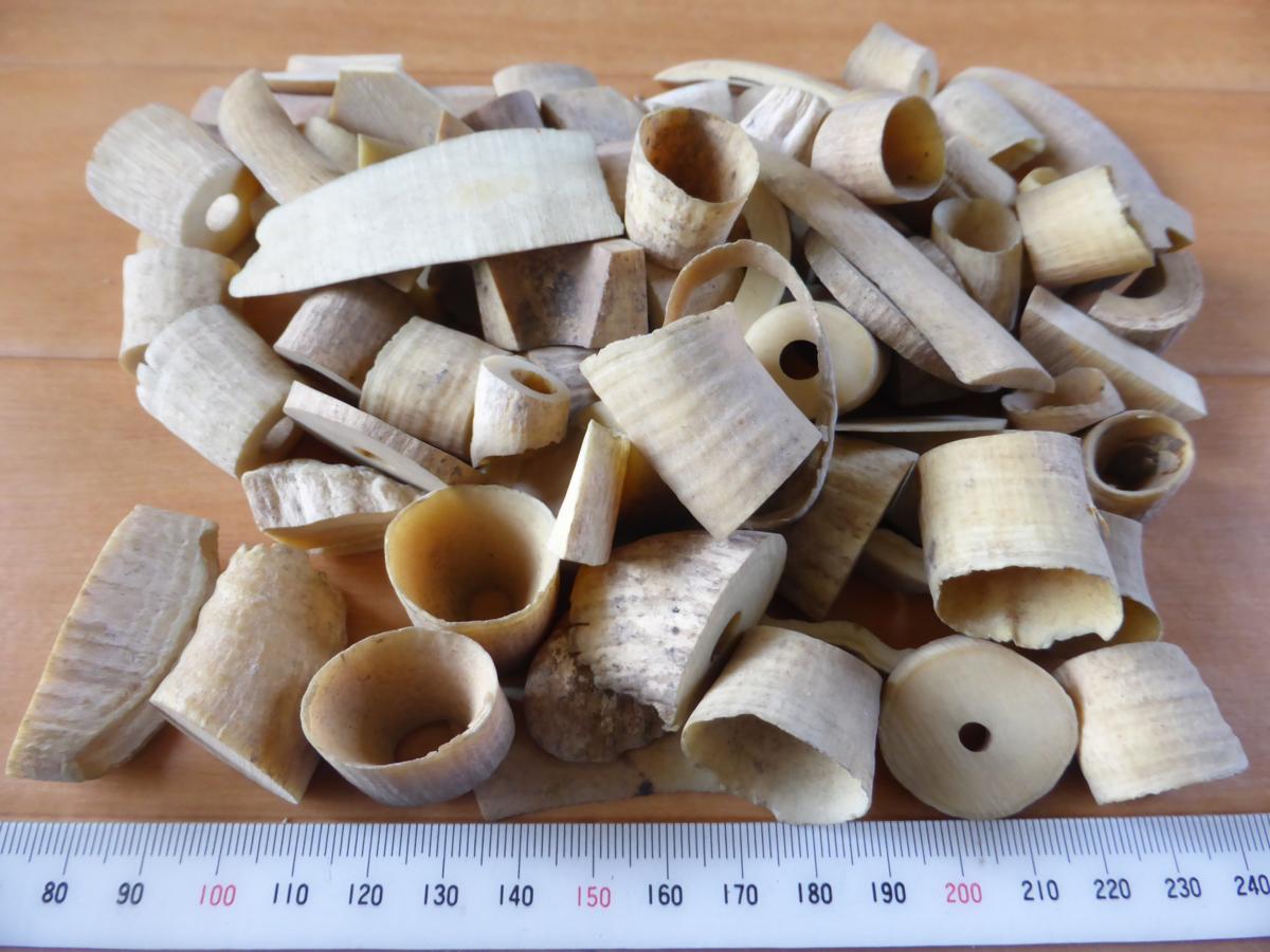 マッコウクジラ 鯨牙 鯨歯 天然素材 印材 バラ売り⑭ 221g マッコウ