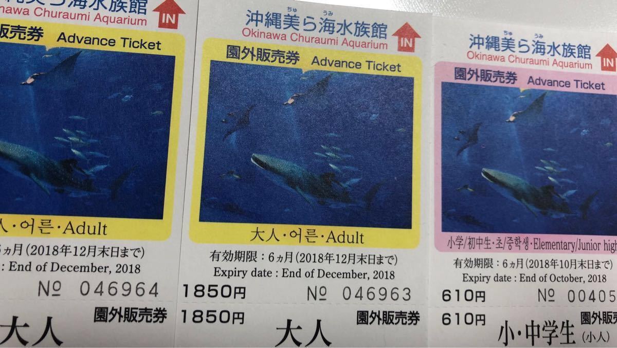 沖縄美ら海水族館 入館券 大人3枚 やおみやげ情報も｜るるぶ&more 