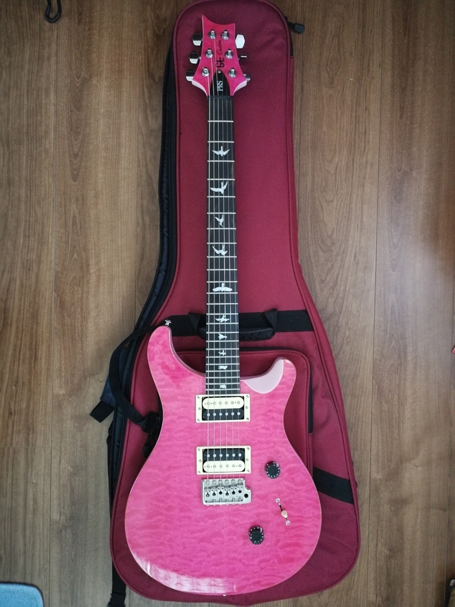 PRS SE custom 24 ピンク Custom SE 0 String 1 Village