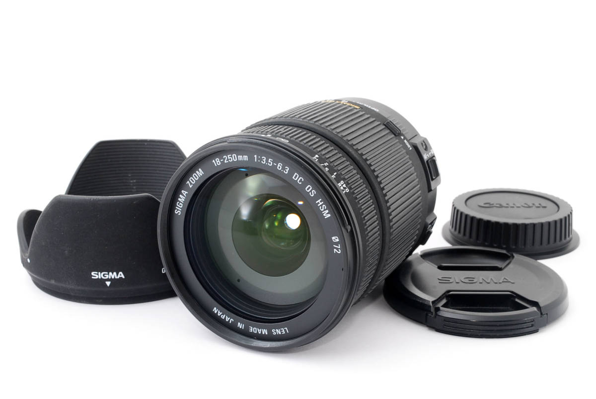 18-250mm HSM F3.5-6.3 DC シグマ MACRO OS SIGMA キヤノン : EO 美品