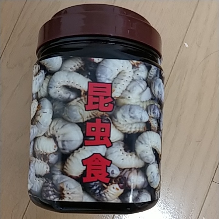 昆虫食 | : 食用 閲覧注意 塩味 高蛋白で低糖質 冷凍昆虫シリーズの