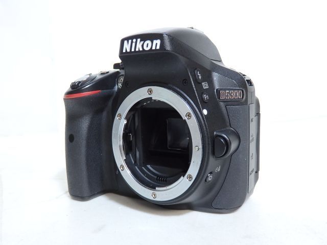 Nikon ボディ D5300 レンズ AF-S DX NIKKOR 18-55mm F3.5-5.6G VR II