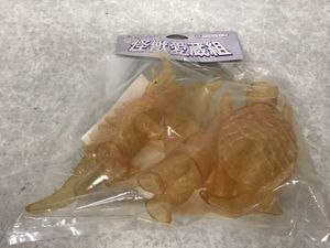 スラッシュカンパニーのYahoo!オークション(旧ヤフオク!)の相場・価格