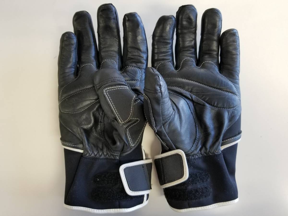 Goldwin(ゴールドウイン) グローブ ゴアテックス 【送料無料】GOLDWIN