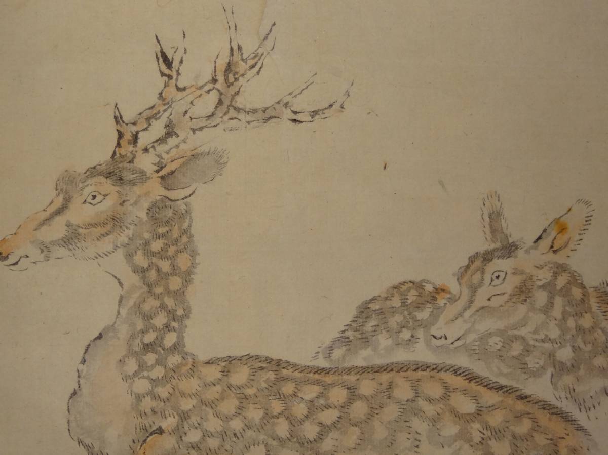 鑑定　三河田原藩家老・渡辺崋山　双鹿之図　掛軸　江戸後期・南画家・武士　模写