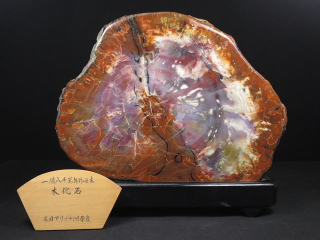 アリゾナ州で発掘された超大型珪化木の化石重量なんと 12112470□