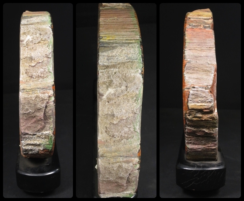 アリゾナ州で発掘された超大型珪化木の化石重量なんと 12112470□