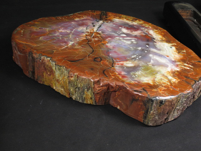 アリゾナ州で発掘された超大型珪化木の化石重量なんと 12112470□