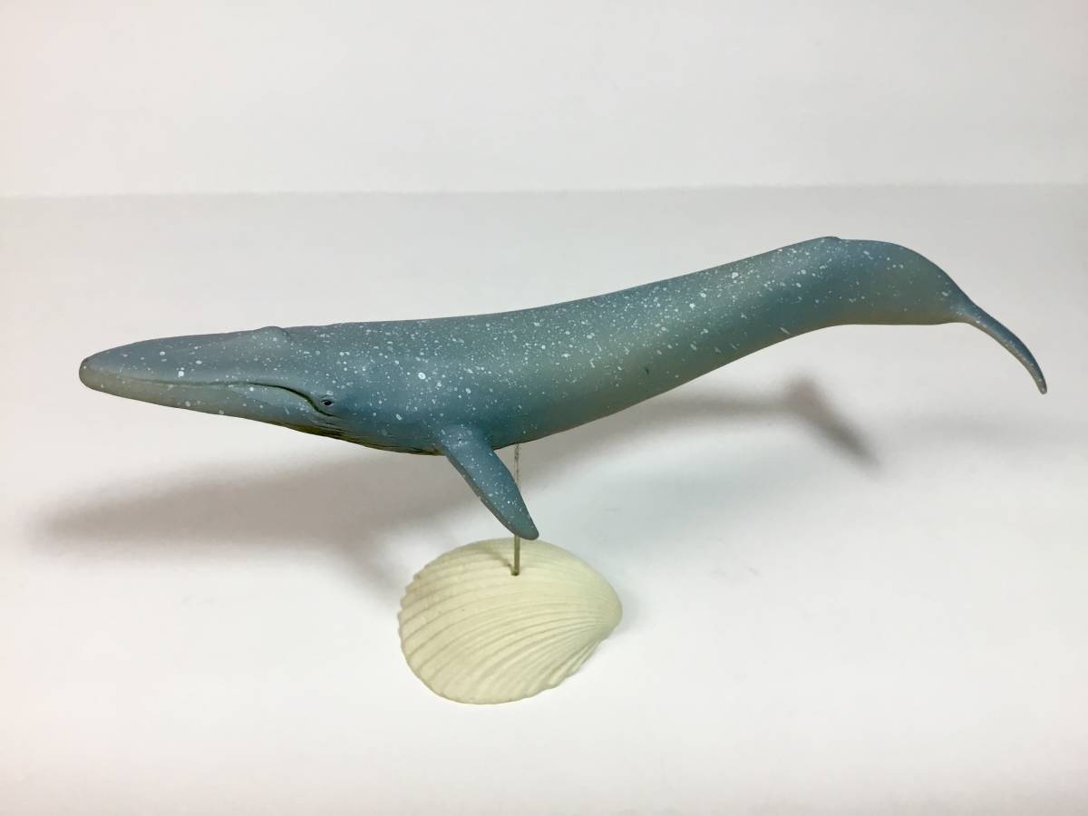 2025 海洋堂 アクアランド シロナガスクジラ 松村しのぶ原型 地球最大の生物 AQUALAND KAIYODO 水生動物モデルコレクション フィギュア(生き物)｜売買されたオークション情報、yahooの商品情報をアー 生き物