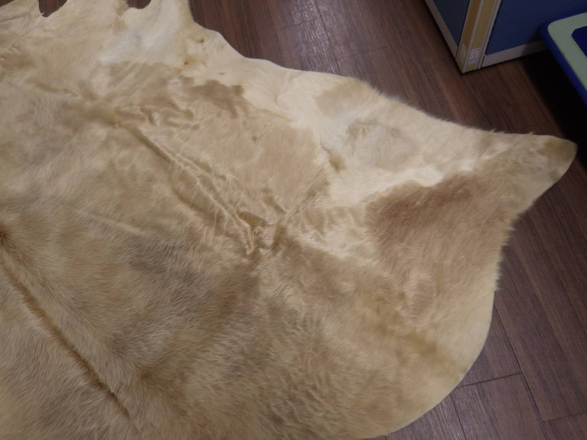 毛皮 敷物 249×215cm カウラグ？牛革？絨毯 マット 北欧マット 検）ウェグナー イームズ カッシーナ ミッドセンチュリー