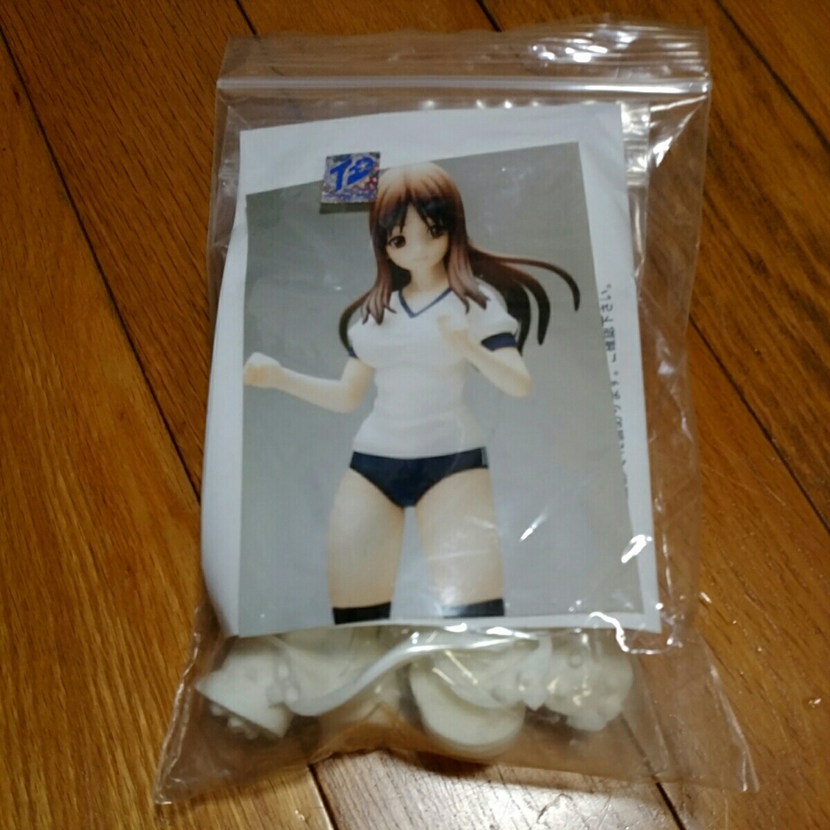 1円～ フォトカノ 柚ノ木梨奈 ガレージキット 1/8 体操服 フォトカノ 
