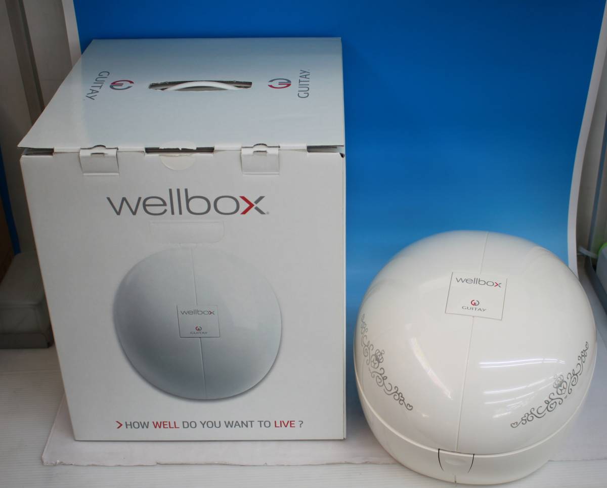 ウェルボックス LPG Wellbox GUITAY ウェルボックス 家庭用