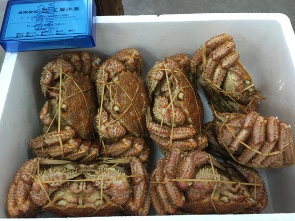 【海産問屋 カネニ】広尾産 訳あり　毛がに３kg！７～１０尾入！（冷凍）