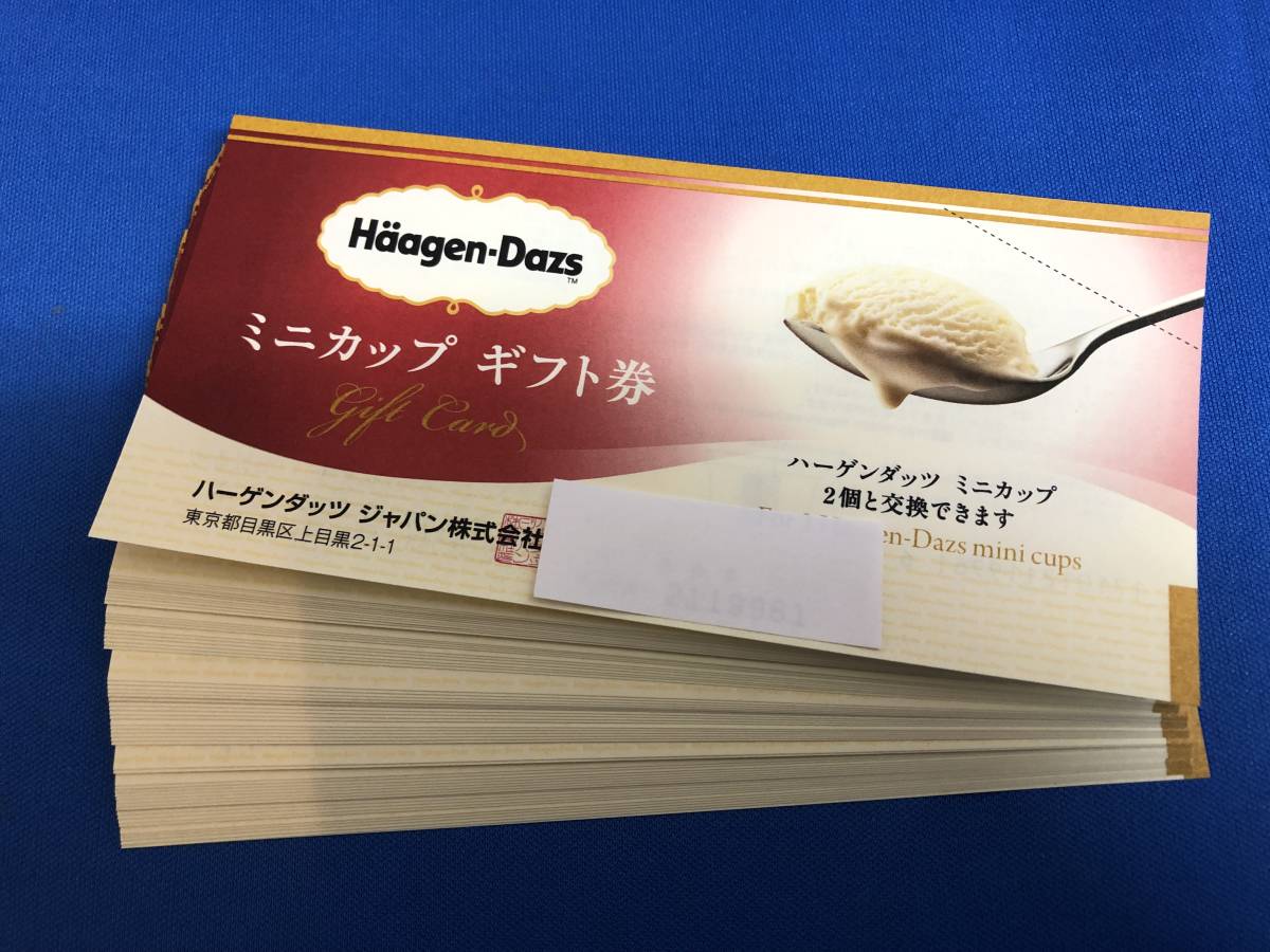 ハーゲンダッツ ギフト券 ミニカップ2個 額面588円×60枚 送料無料