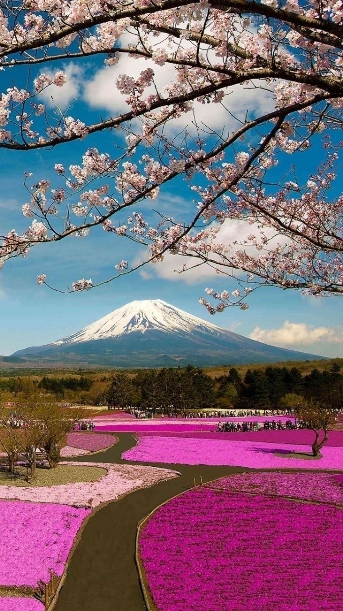 即決即対応 相互評価OK フリー画像 海外OK 1円~ Yahoo!かんたん決済 クレカ不可 送料無料 評価アップ 2_1