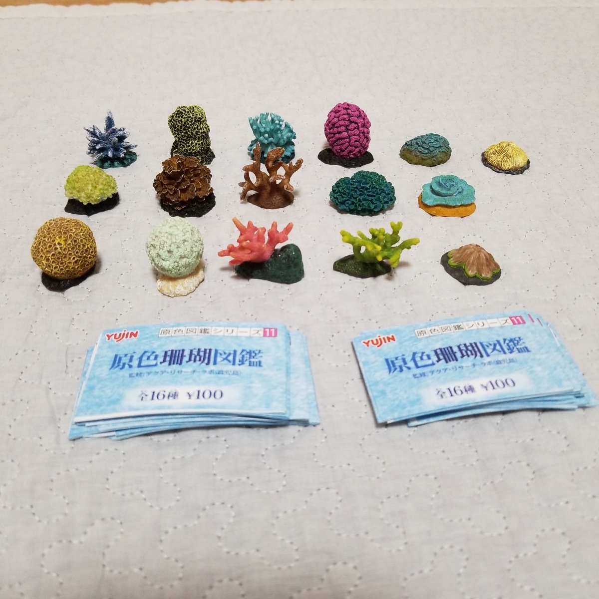 原色珊瑚図鑑　全16種　フルコンプ 原色珊瑚図鑑 全16種セット フルコンプ YUJIN ネイチャーテクニカラー