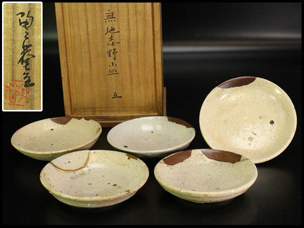  金閣 時代美濃焼 無地志野 小皿 五客 共箱 旧家蔵出 ZA411(志野)｜売買されたオークション情報、yahooの商品情報をアーカイブ公開 - オークファン 美濃